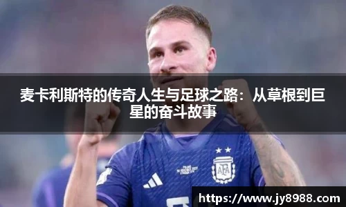 星空·综合体育官方网站